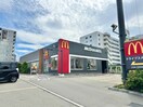 マクドナルド(ファストフード)まで1800m ハレイワコ－ト