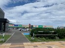 コープさっぽろ(スーパー)まで1300m アミティエ