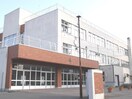 宮の森小学校(小学校)まで420m ハイム石蘭