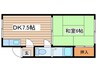 ハイデンス泉 1DKの間取り
