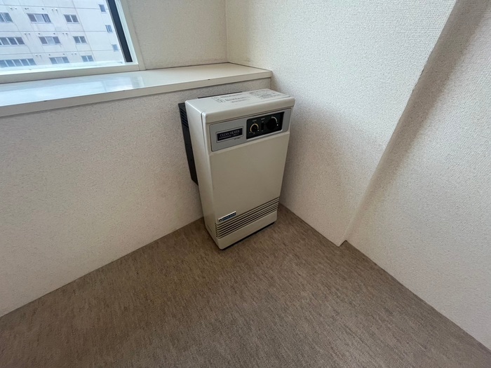 内観写真 (745589)ﾀﾞｲｱﾊﾟﾚｽ白石(510)