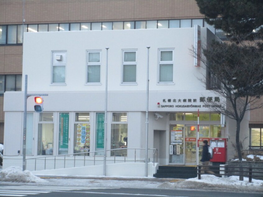 札幌北大郵便局(郵便局)まで554m ノール北１１条