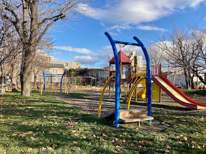 どんぐり公園(公園)まで48m Grandee桑園