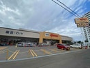 DCM 桑園店(電気量販店/ホームセンター)まで900m CHIARO　SAPPORO