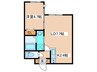 FUTABA SQUARE N21 1LDKの間取り