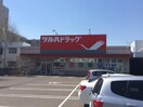 ツルハドラッグ南16条店(ドラッグストア)まで450m ル・コルヌイエ山鼻