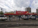 ツルハ(ドラッグストア)まで550m ドミローレル第11