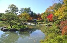 中島公園(公園)まで422m 全国ビルニューオリンピア(312)