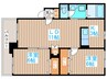 Palazzo　Coccolo 2LDKの間取り