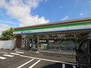 ファミリーマート(コンビニ)まで250m サンテモンタ－ニュ