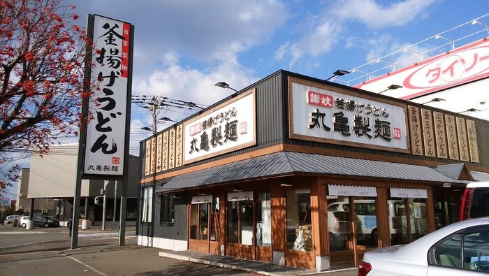 丸亀製麺札幌、(その他飲食（ファミレスなど）)まで240m ルミナス本町