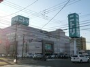 ニトリ(電気量販店/ホームセンター)まで850m 武田ＡＰ