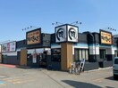 焼肉きんぐ(その他飲食（ファミレスなど）)まで265m marvelous