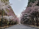 円山公園(公園)まで450m 桂和レジデンス円山公園