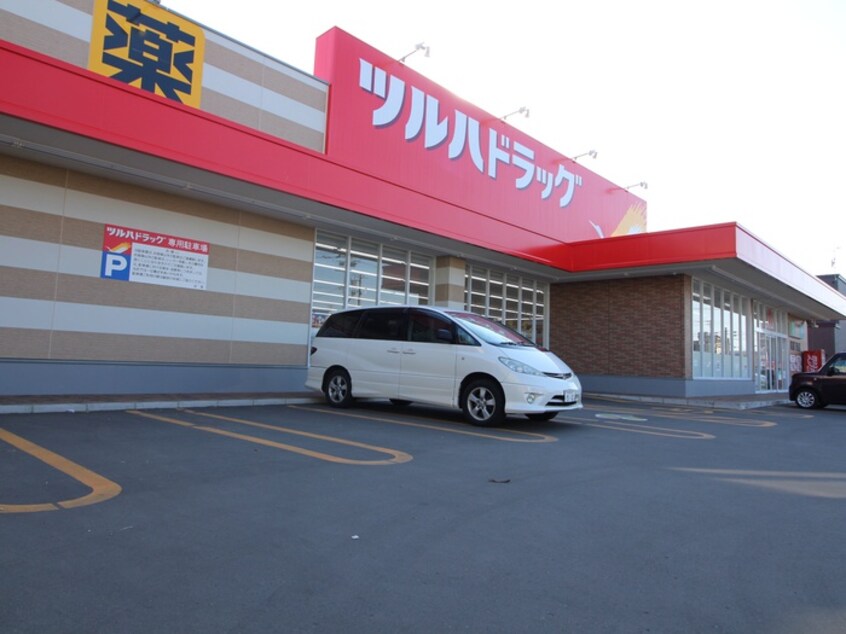 ツルハ(コンビニ)まで660m precious MISONO