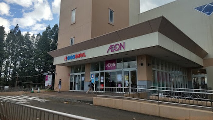 イオン札幌手稲駅前店(スーパー)まで1100m ハイツ菅原