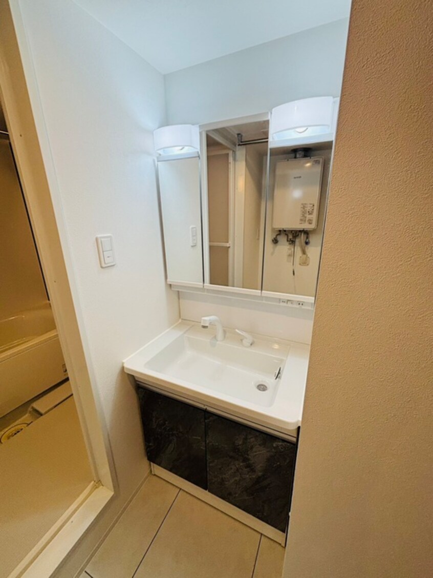 洗面 ガイアール南円山