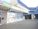 郵便局(郵便局)まで350m エクレール新琴似