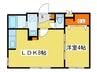エヴァンスコート宮の森 1LDKの間取り