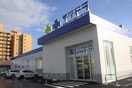 サツドラ(ドラッグストア)まで308m Ｓｒｉｖｅ北円山