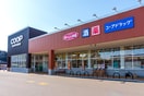 コープさっぽろ 二十四軒店(スーパー)まで450m ガ－デンテラス２４