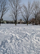 二十四軒公園(公園)まで230m ガ－デンテラス２４