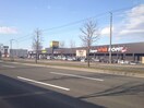 スーパービバホーム(電気量販店/ホームセンター)まで1200m グランイースト真栄