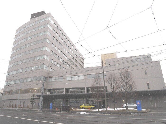NTT東日本札幌病院(病院)まで100m マンションパレみやざき