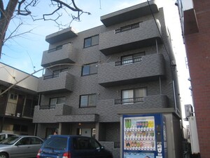 Ｒａｉｎ　Ｆｏｒｅｓｔ