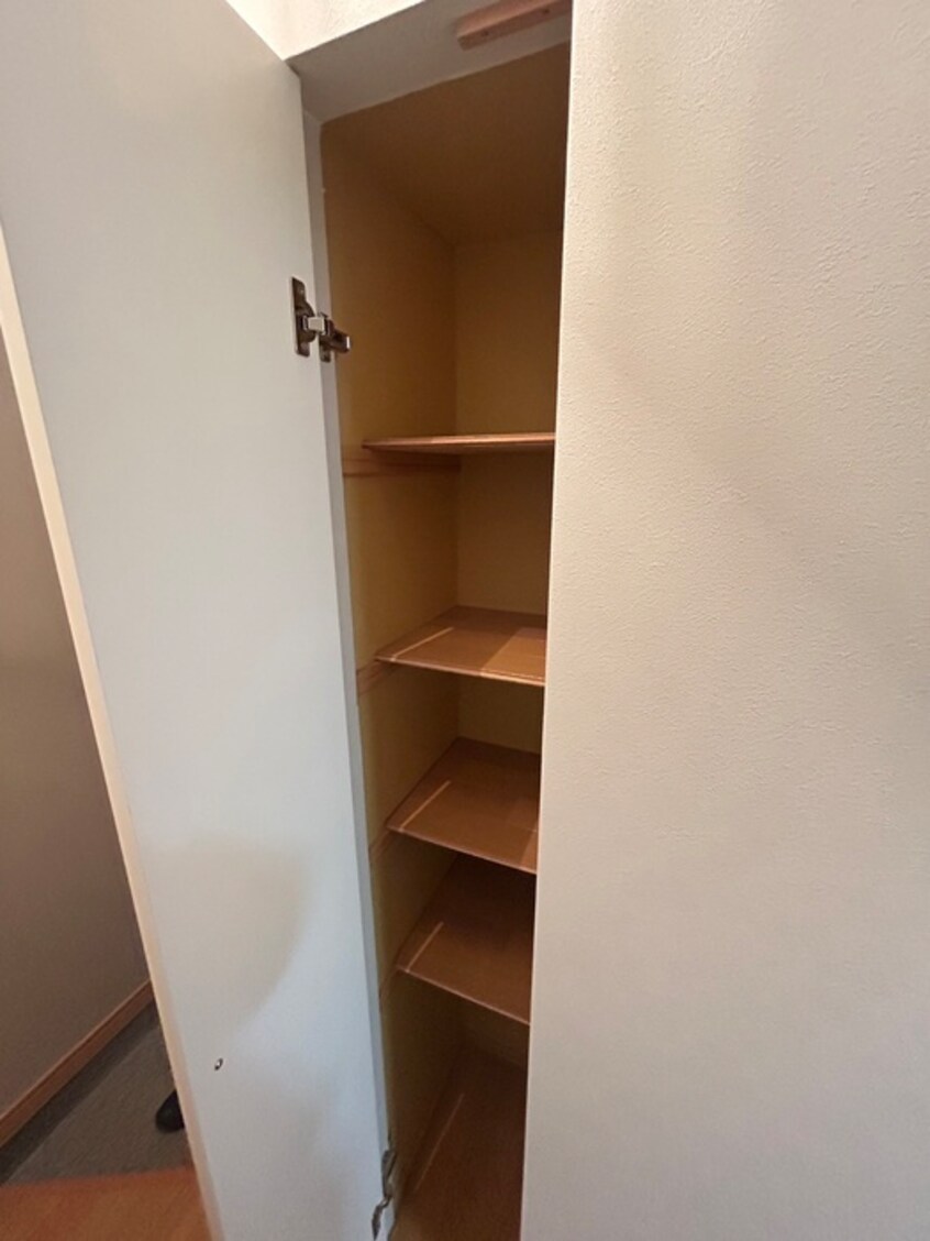 靴箱 ミライコートⅡ