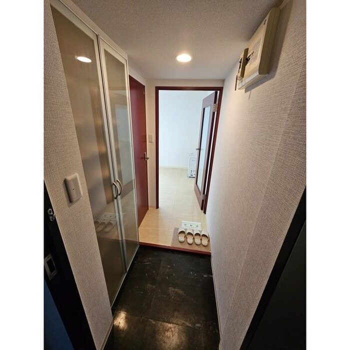 玄関 アイア－ル円山Ⅲ