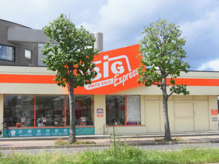 ザ・ビッグ エクスプレス平岸店(スーパー)まで750m ＡＬＩＶＩＯ