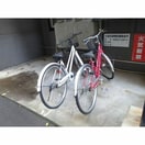 駐輪場 サンライト南5条