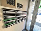 その他 ルピナス７．８
