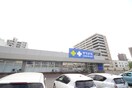 サツドラ(ドラッグストア)まで797m マジェスティ