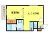 アルファスクエア大通西17 1LDKの間取り