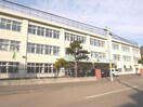 緑丘小学校(小学校)まで1400m ステラガーデン山鼻