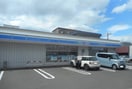 ローソン(コンビニ)まで413m パ－クナイン