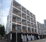 フェリ－チェ桑園