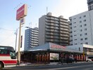 ヴィクトリア(その他飲食（ファミレスなど）)まで550m コ－ポすずかけ
