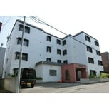 南平岸３１３
