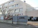 新琴似中学校(中学校/中等教育学校)まで1300m フェリ－チェ１ﾟ