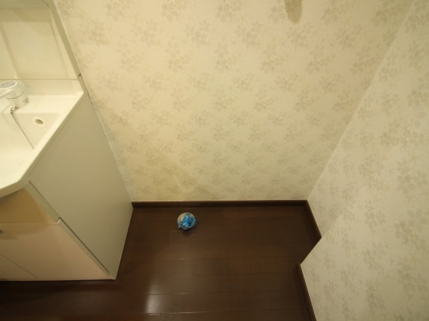 洗濯機置場 ロージー月寒東