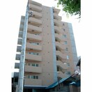 外観写真 ルピナス