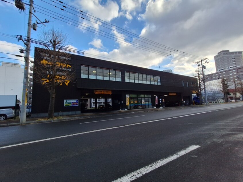 キャロット(スーパー)まで969m ルピナス