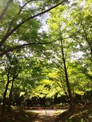 中島公園(公園)まで140m CITY SPIRE中島公園Ⅱ