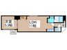 アイビーパレス３１ 1LDKの間取り