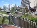 周辺環境 アイビーパレス３１
