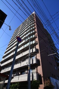 ドミ山鼻拾条