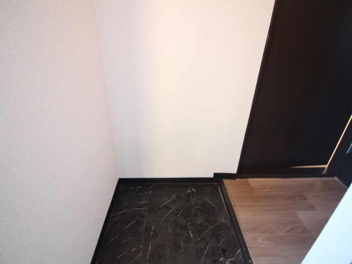 玄関 パ－クサイドヴィラ